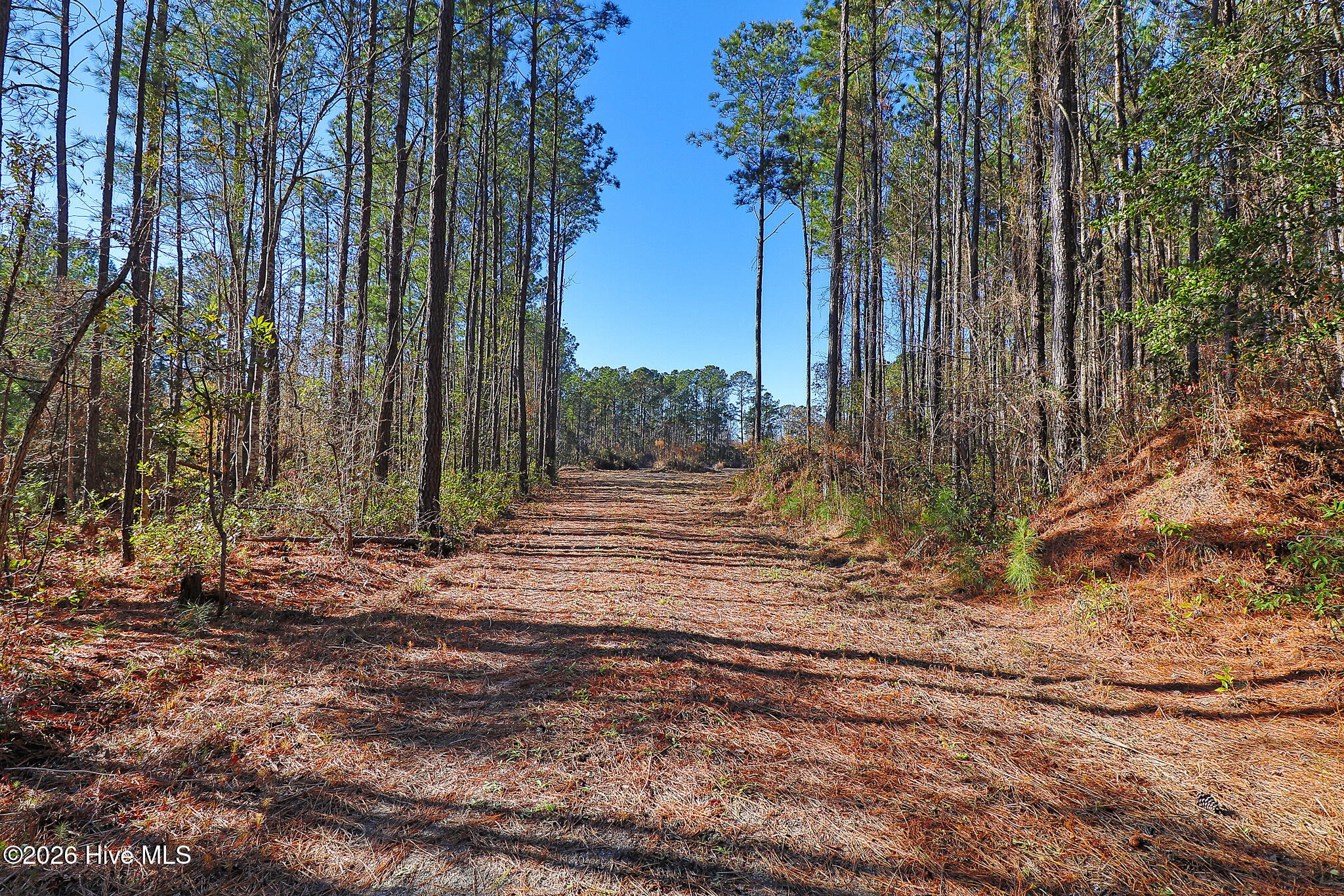 1555 Country Club Road Morehead City, NC 28557 - Photo 10 of 24 Partially Cleared Lot
