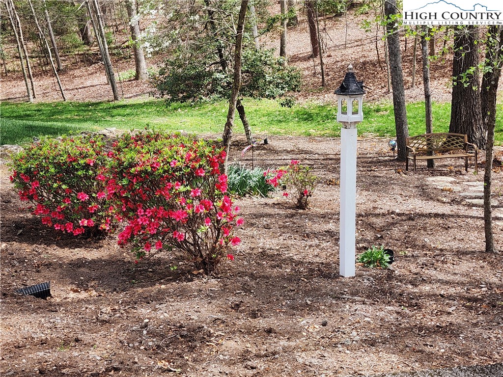 305 Old Farms Road Wilkesboro, NC 28697 - Photo 2 of 50