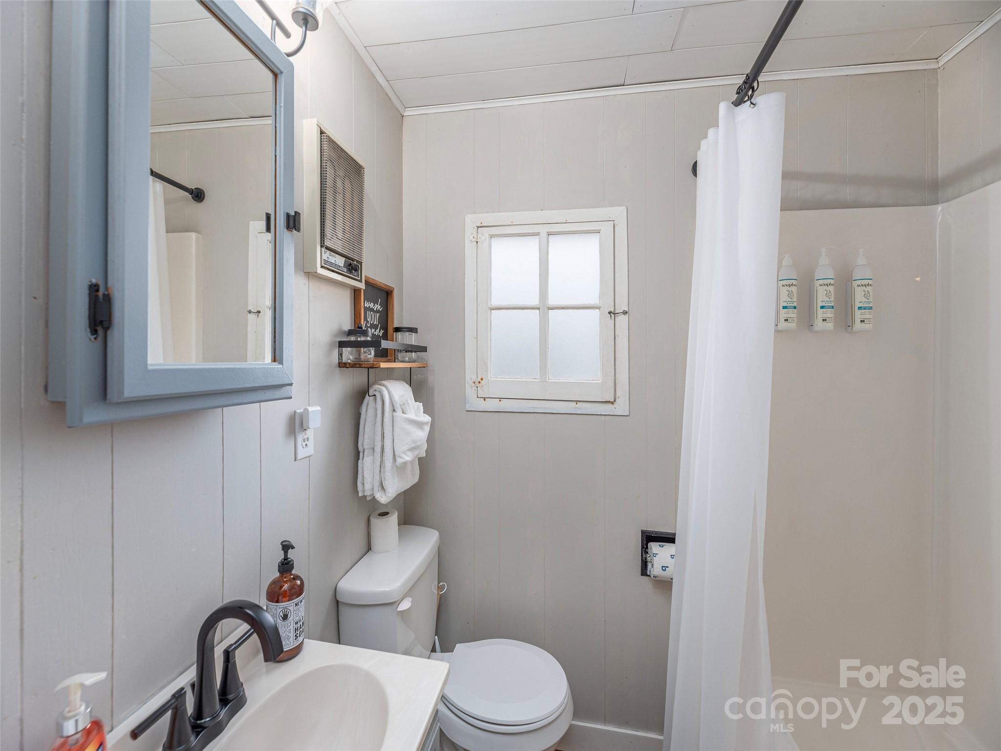 155 Mull Cove Road Maggie Valley, NC 28751 - Photo 12 of 19 a bathroom with a toilet sink and mirror