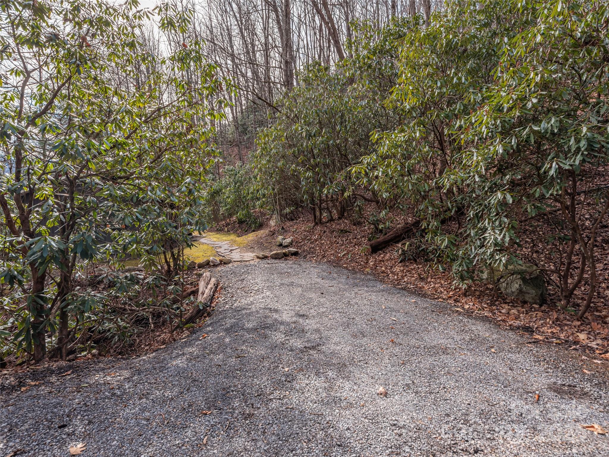 155 Mull Cove Road Maggie Valley, NC 28751 - Photo 19 of 19 a view of a forest with trees in the background