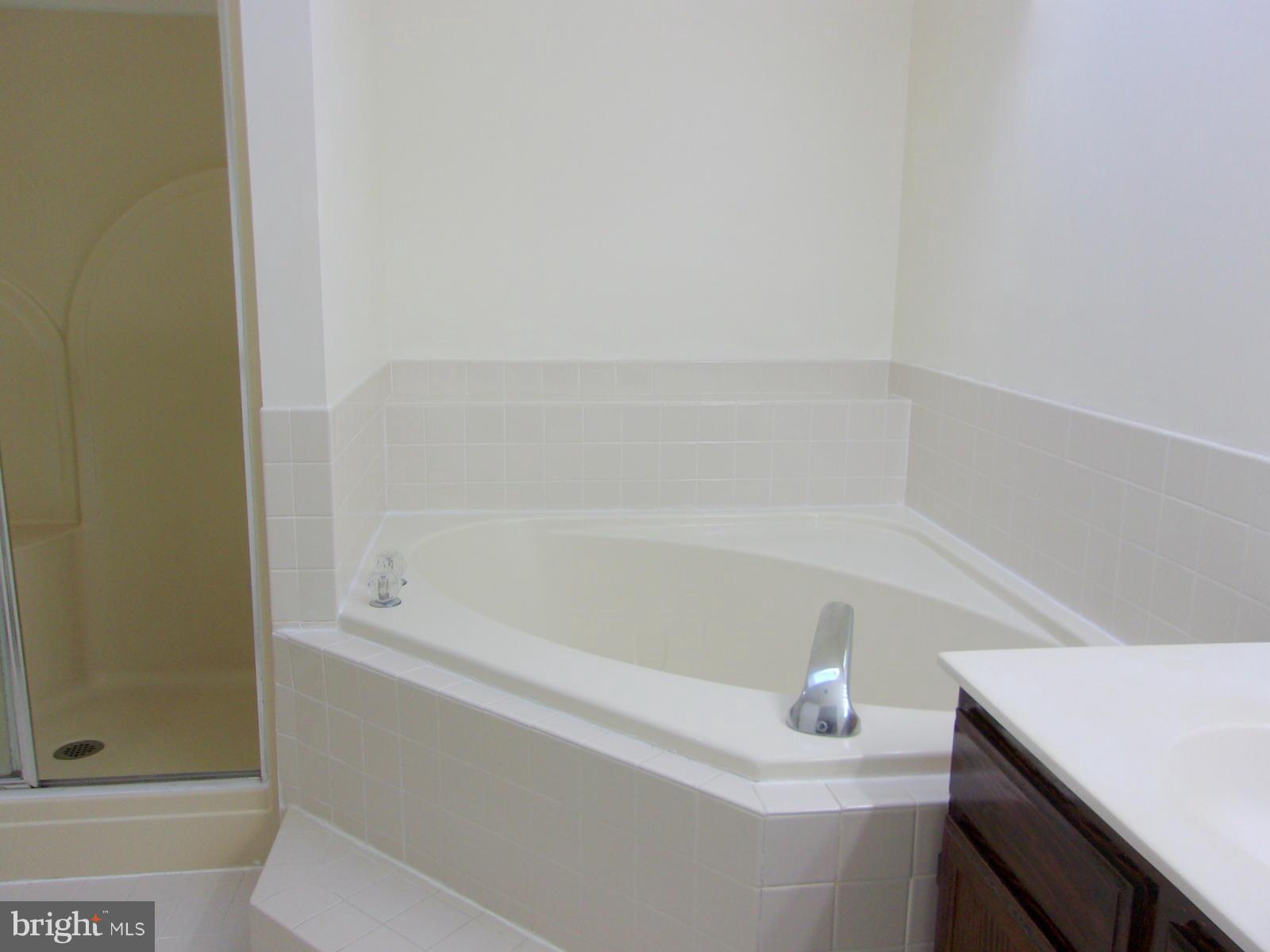 12 Perry Ridge Court Baltimore, MD 21237 - Photo 14 of 20 Bath (Master)