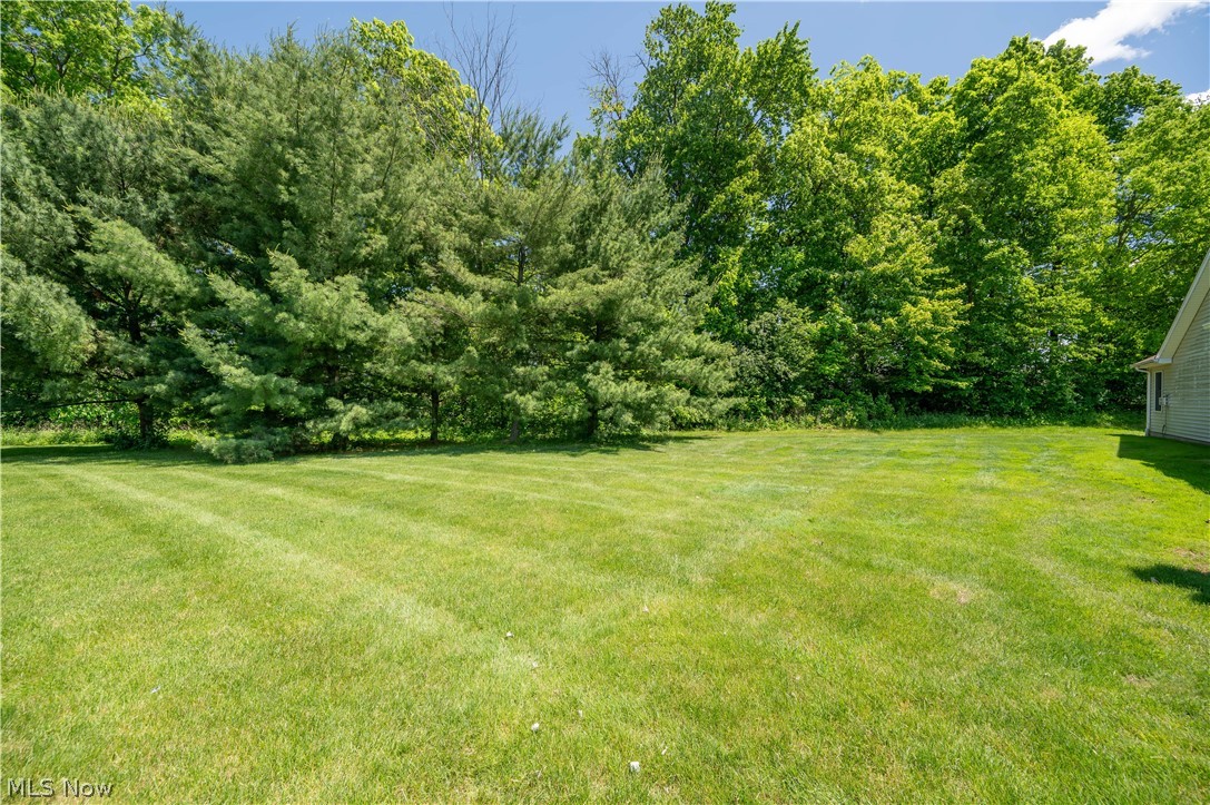 535 Wilcox Road Youngstown, OH 44515 - Photo 17 of 49