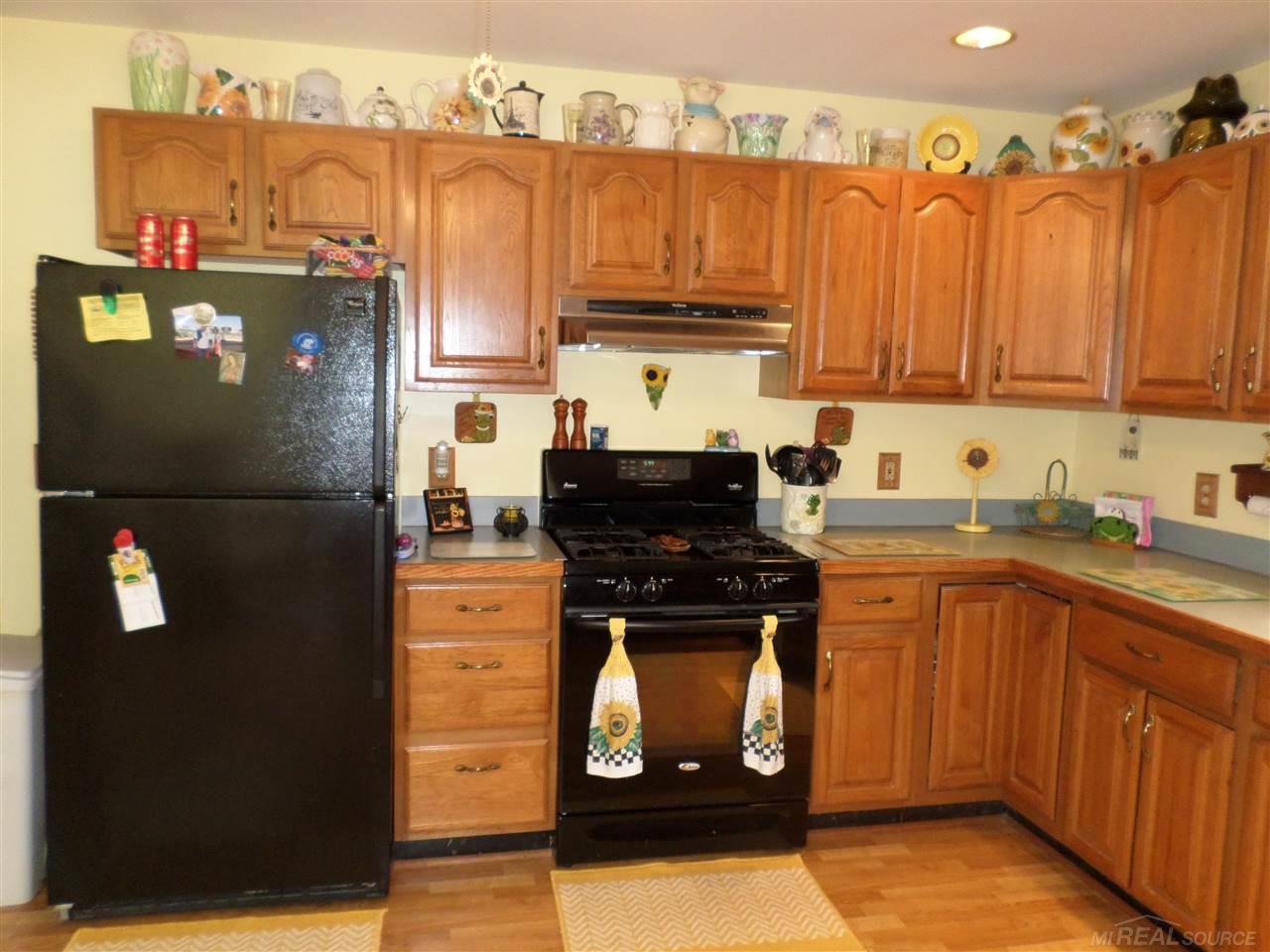 93 Wales Ridge Road Goodells, MI 48027 - Photo 8 of 56
