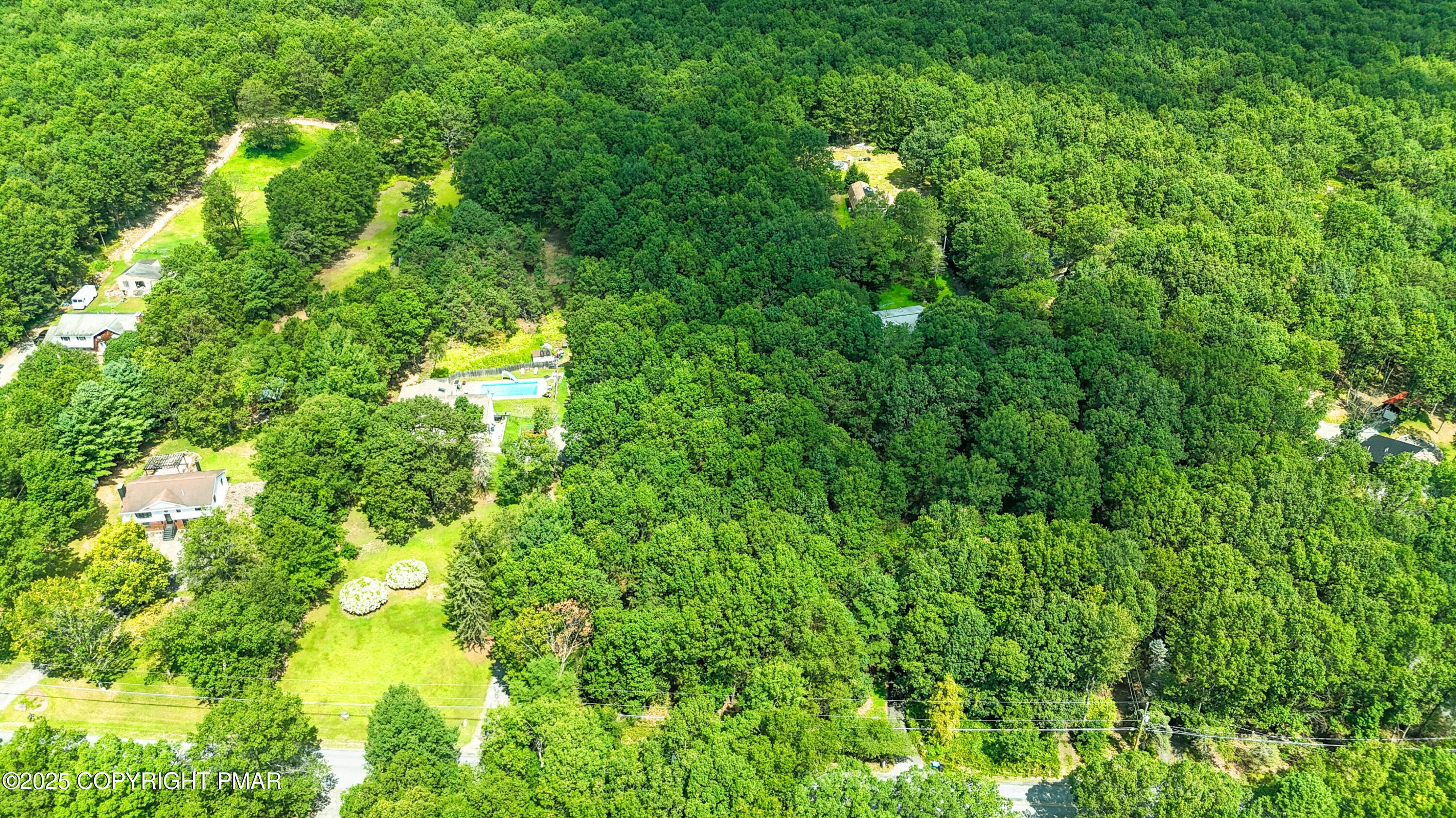 4 Jackson Road Stroudsburg, PA 18360 - Photo 3 of 6 a view of a lush green forest