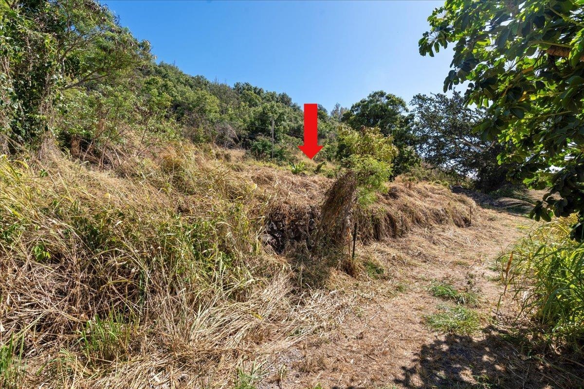 182 River Road Wailuku, HI 96793 - Photo 13 of 20