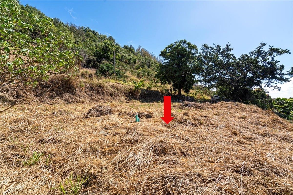 182 River Road Wailuku, HI 96793 - Photo 15 of 20