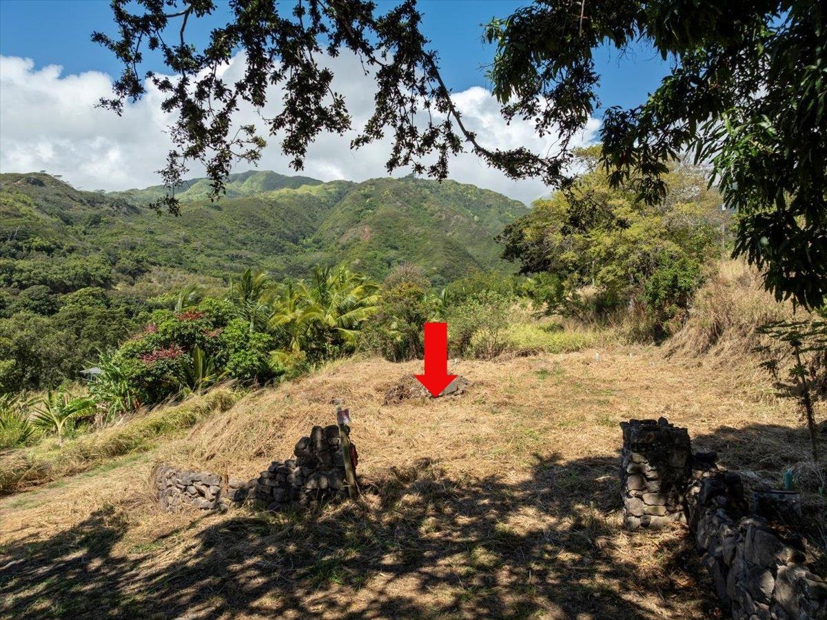 182 River Road Wailuku, HI 96793 - Photo 19 of 20