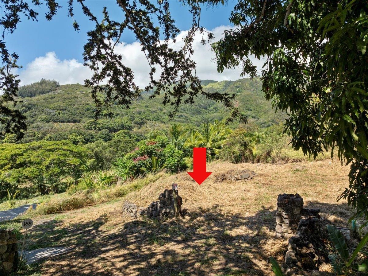 182 River Road Wailuku, HI 96793 - Photo 20 of 20