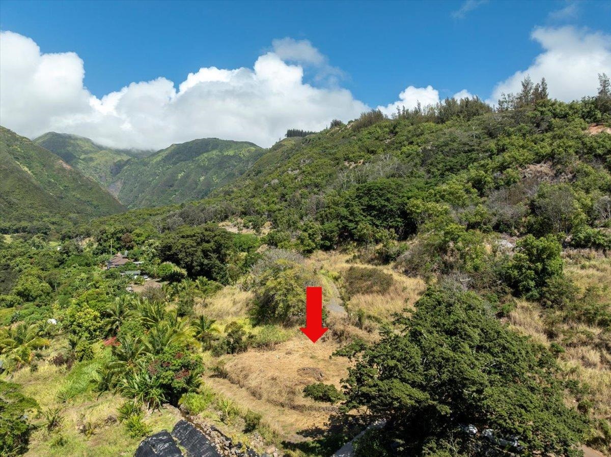 182 River Road Wailuku, HI 96793 - Photo 3 of 20