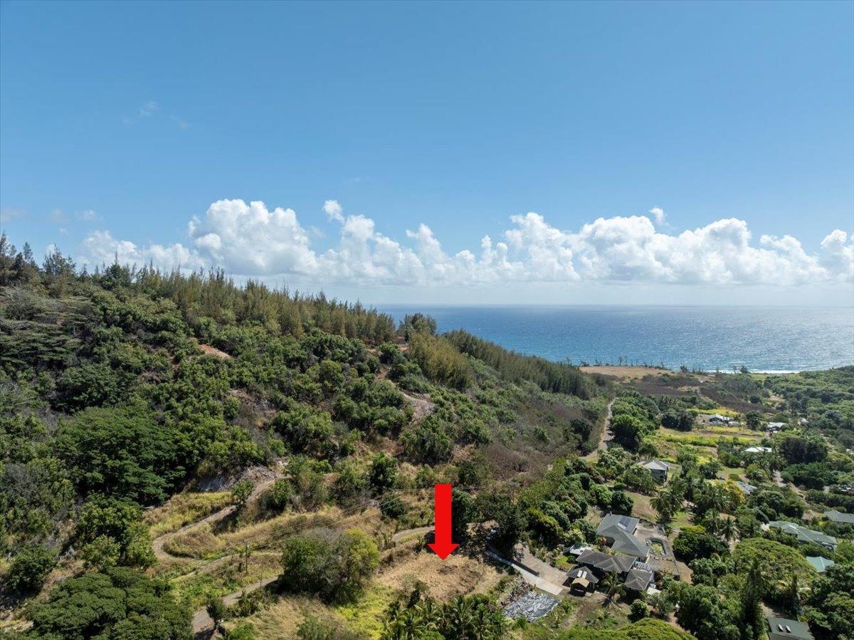 182 River Road Wailuku, HI 96793 - Photo 7 of 20