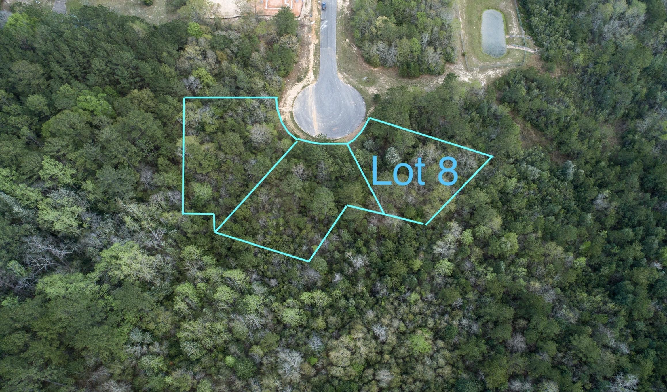 lot 8