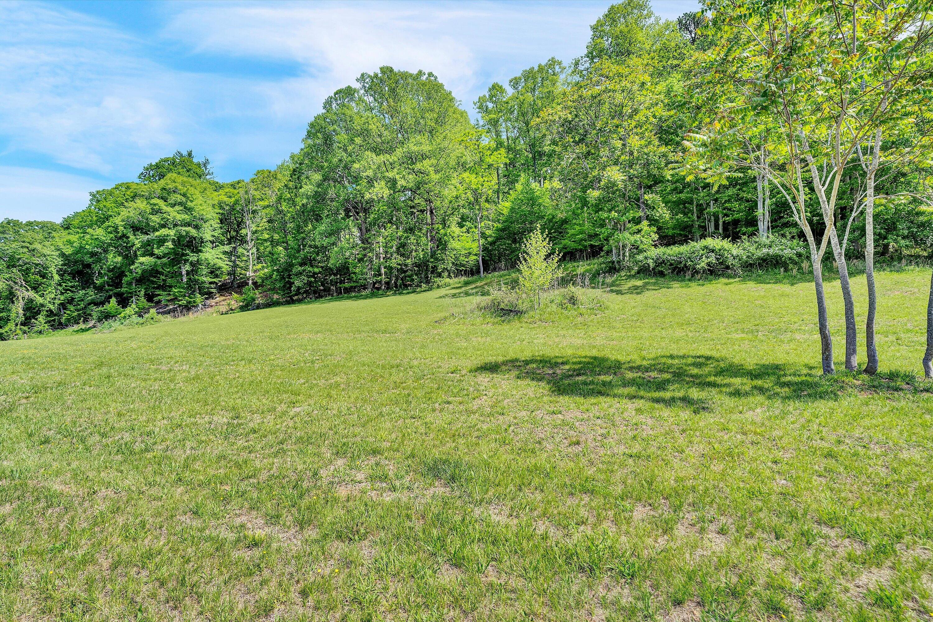 Lot 26 River Rock Road Vinton, VA 24179 - Photo 11 of 28 a view of a field with a tree
