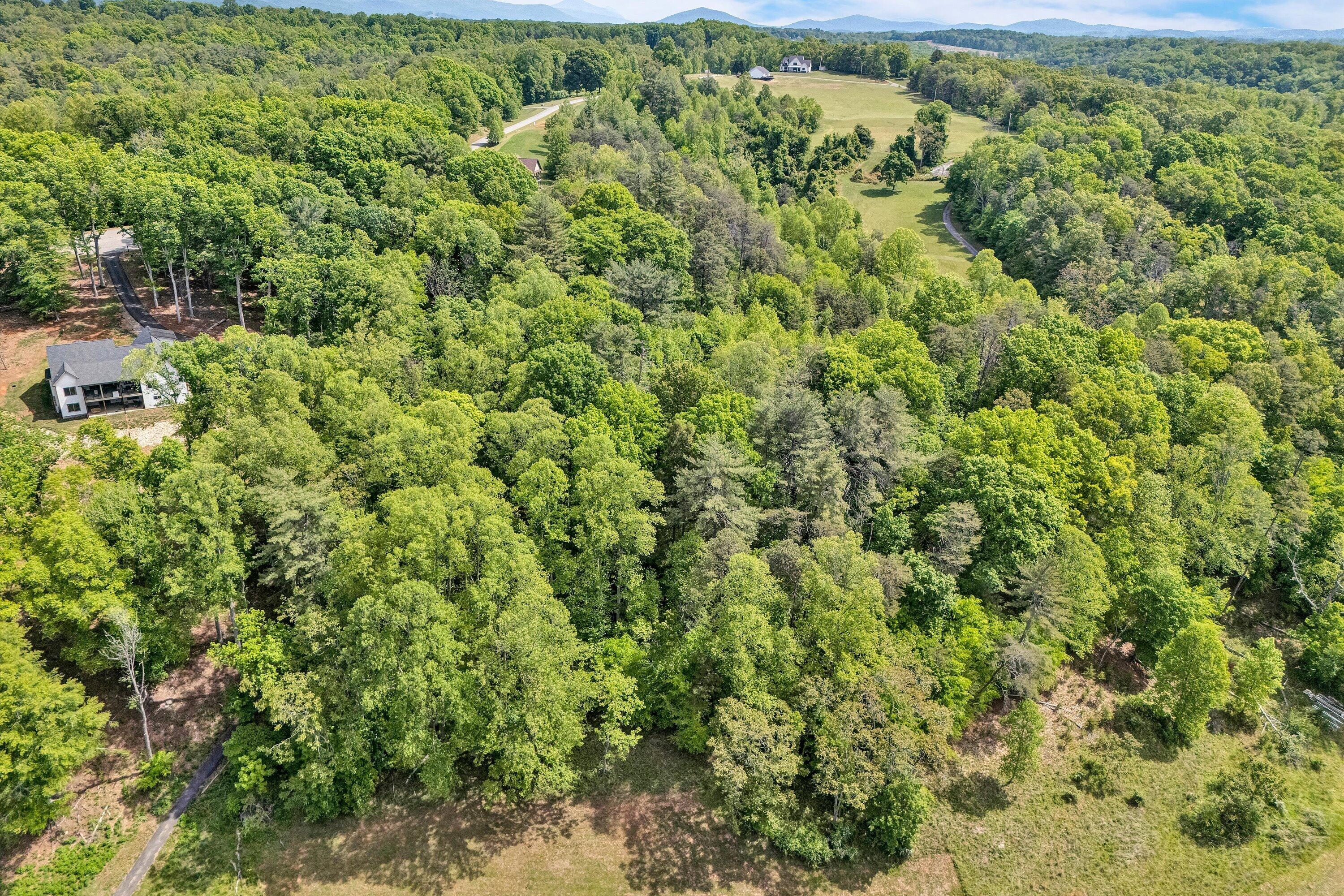 Lot 26 River Rock Road Vinton, VA 24179 - Photo 16 of 28 an aerial view of a house with a yard