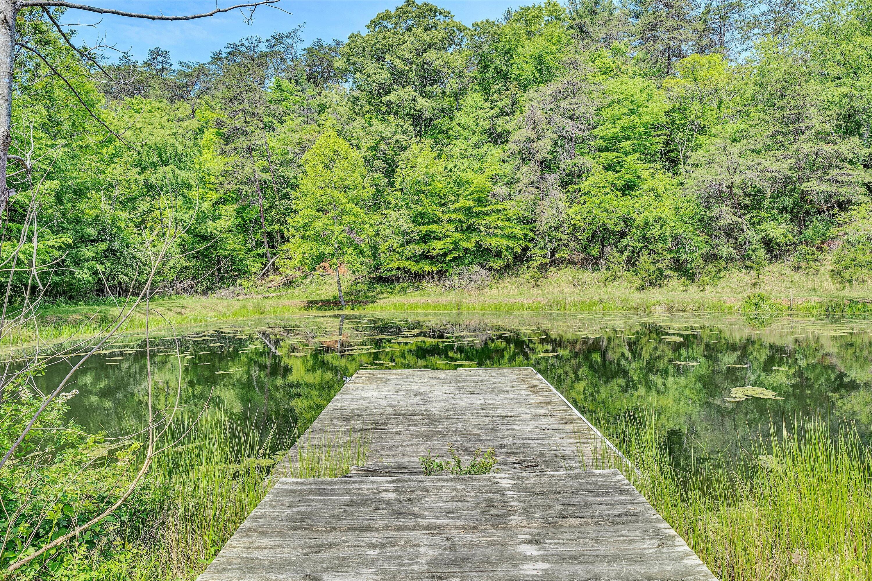 Lot 26 River Rock Road Vinton, VA 24179 - Photo 21 of 28 a view of lake with green space