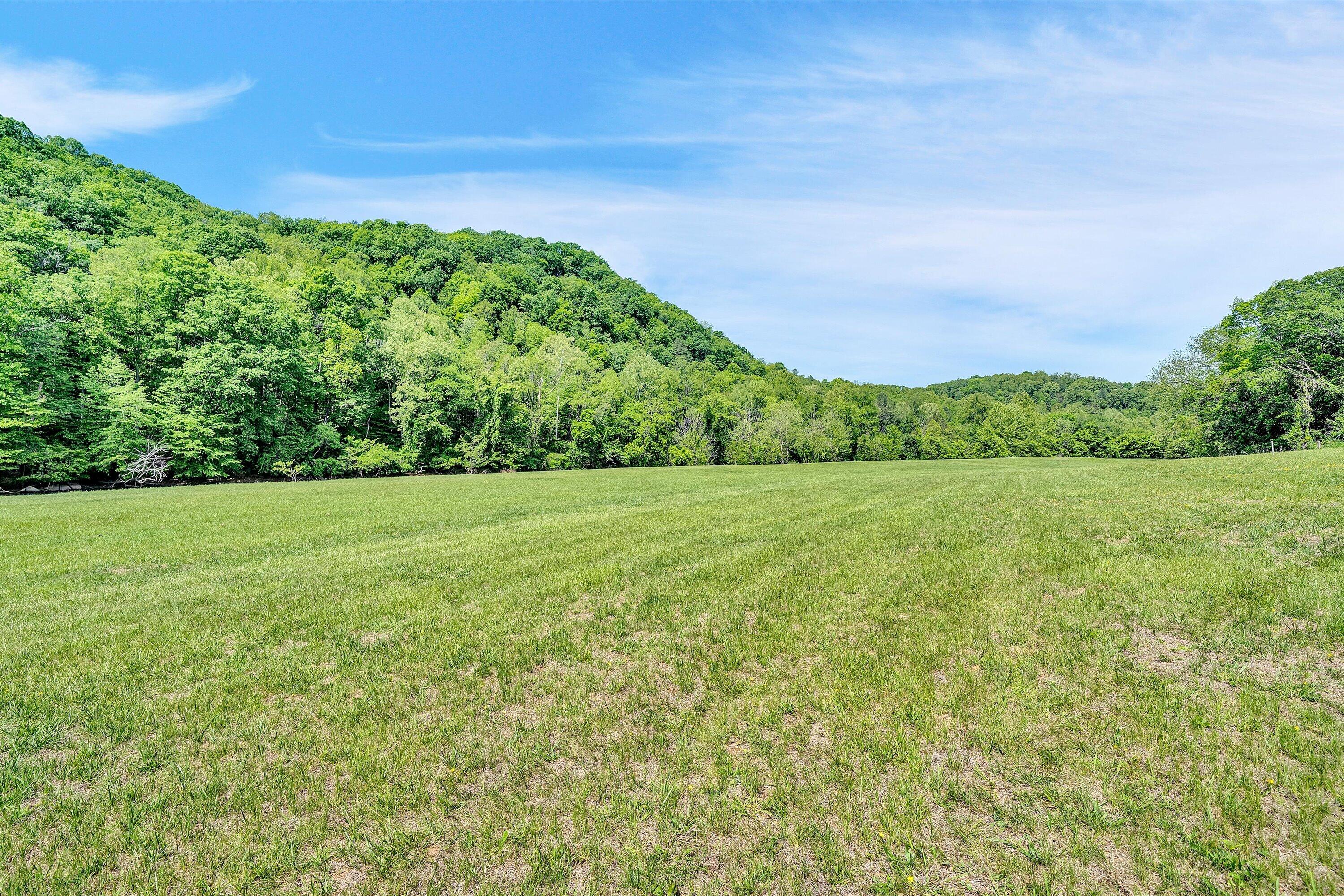 Lot 26 River Rock Road Vinton, VA 24179 - Photo 4 of 28 a view of a garden with an outdoor space