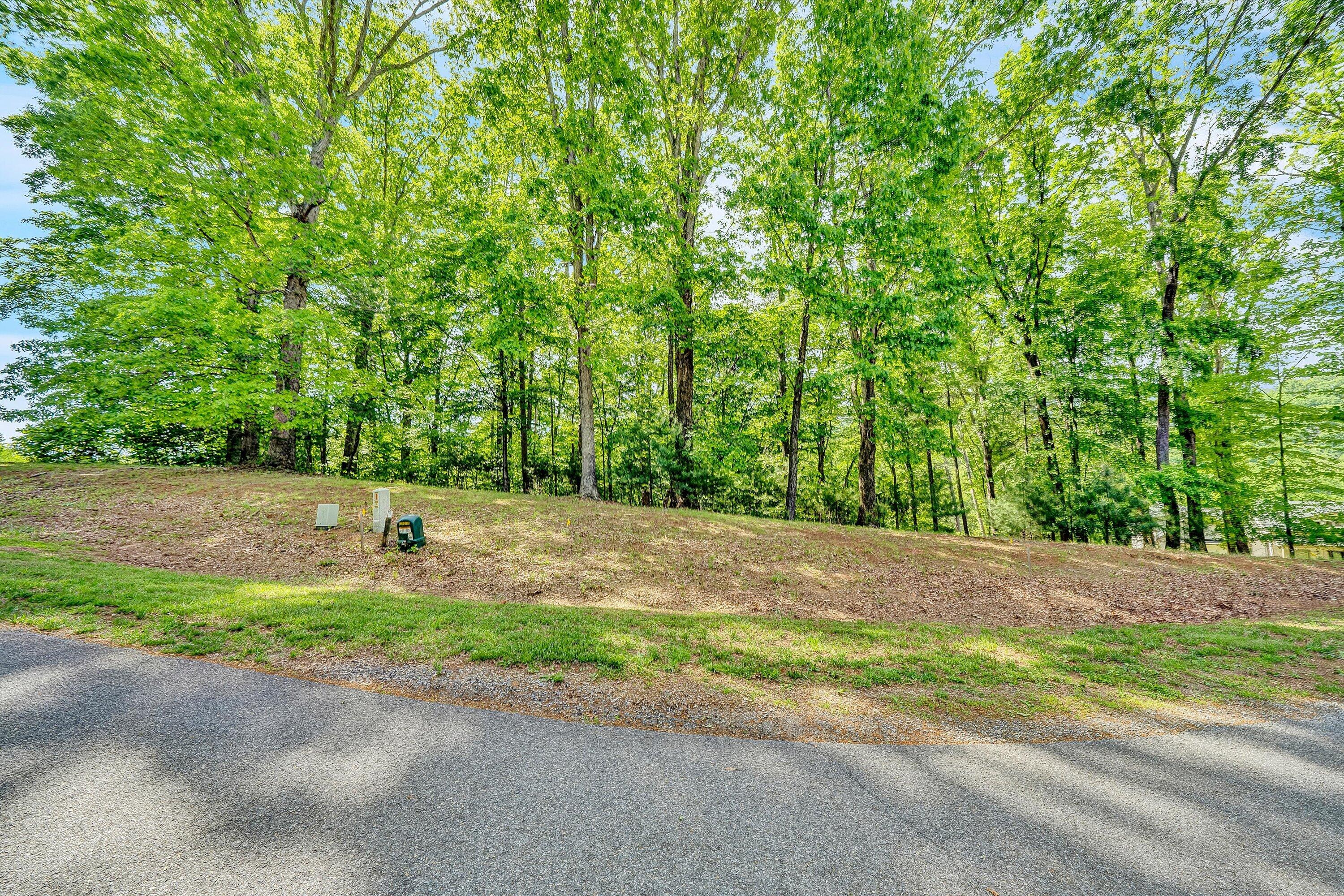 Lot 26 River Rock Road Vinton, VA 24179 - Photo 5 of 28 a front view of a house with a yard and a garage