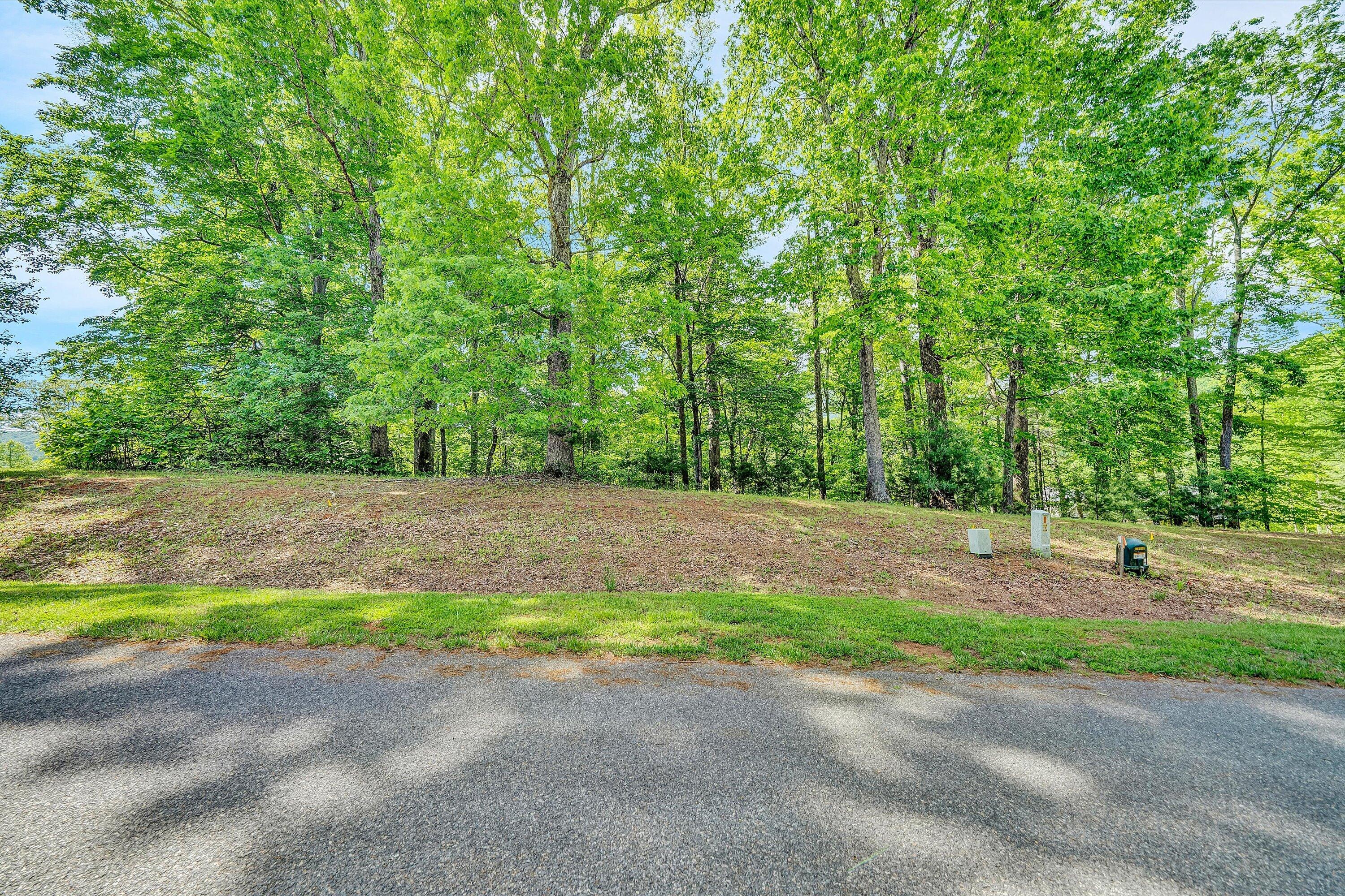 Lot 26 River Rock Road Vinton, VA 24179 - Photo 6 of 28 a view of a yard