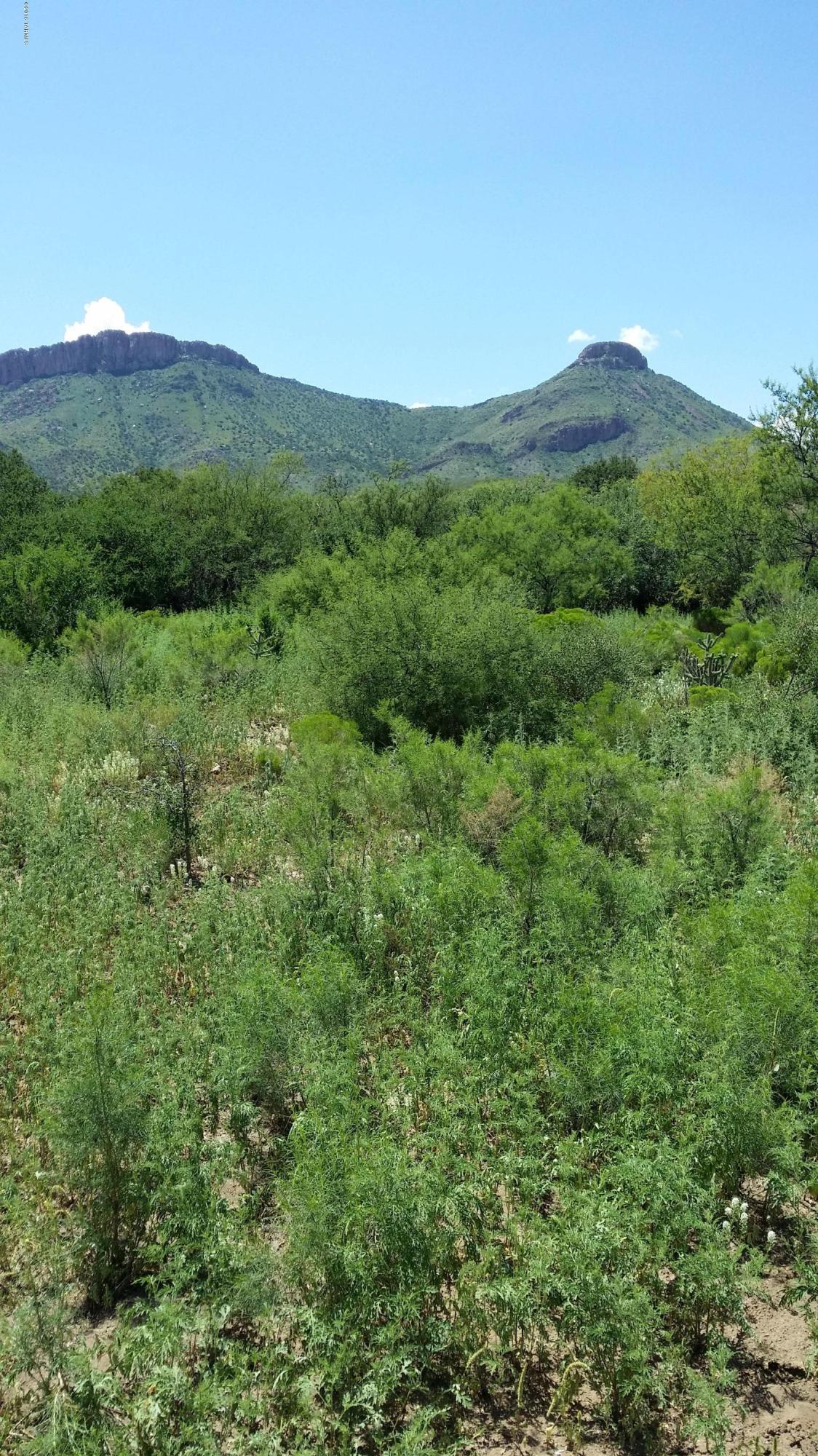 27.084-ac North Silver Creek Road Douglas, AZ 85607 - Photo 7 of 21