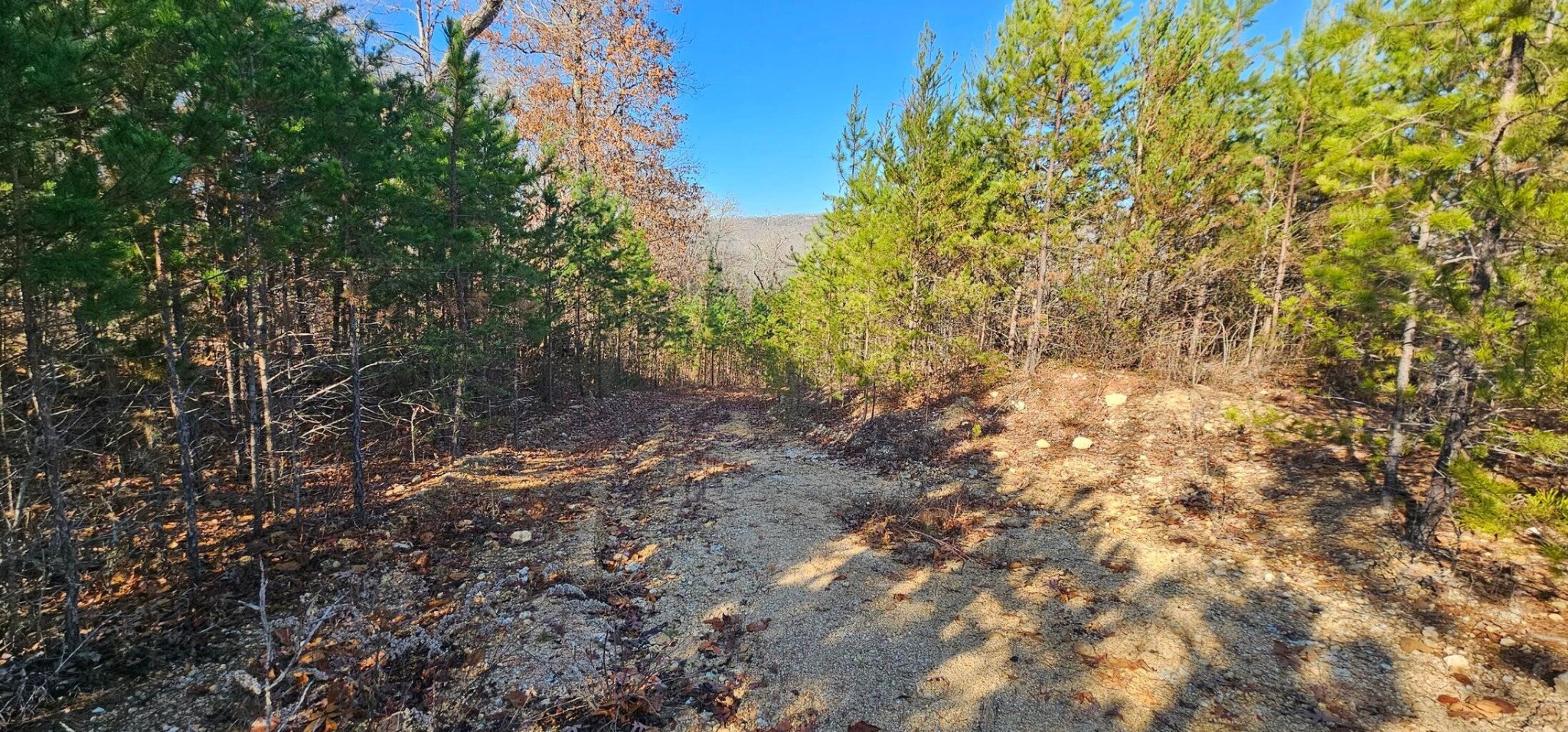 27532 Rhea County Highway Spring City, TN 37381 - Photo 1 of 17 Gallery Image 1