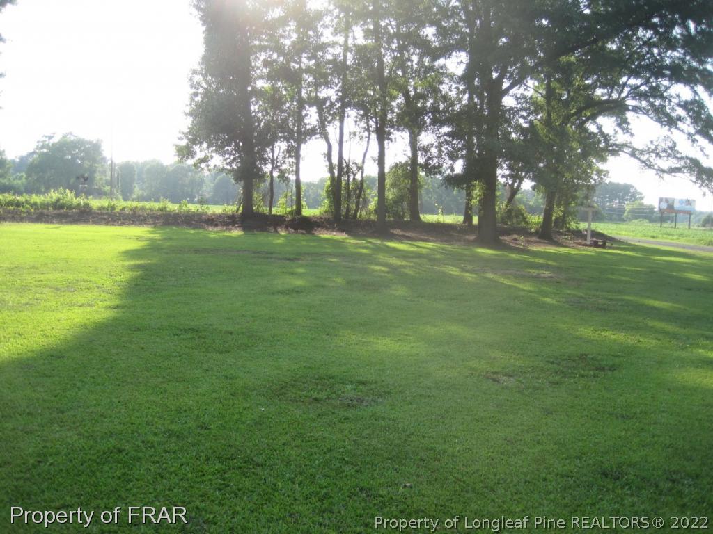 300 Hayne Stretch Road Autryville, NC 28318 - Photo 15 of 22 Gallery Image 15