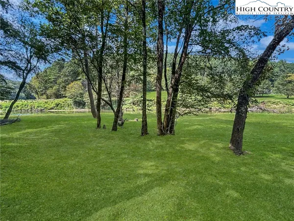 a view of a field with a tree in the background