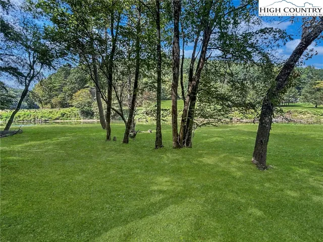 a view of a field with a tree in the background
