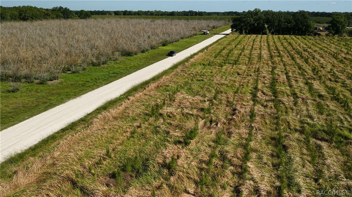 Tbd North Barlow Road Wauchula, FL 33873 - Photo 13 of 43
