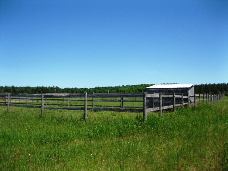 783 Mitchell Road Southeast Kalkaska, MI 49646 - Photo 8 of 38 1802133-7.JPG