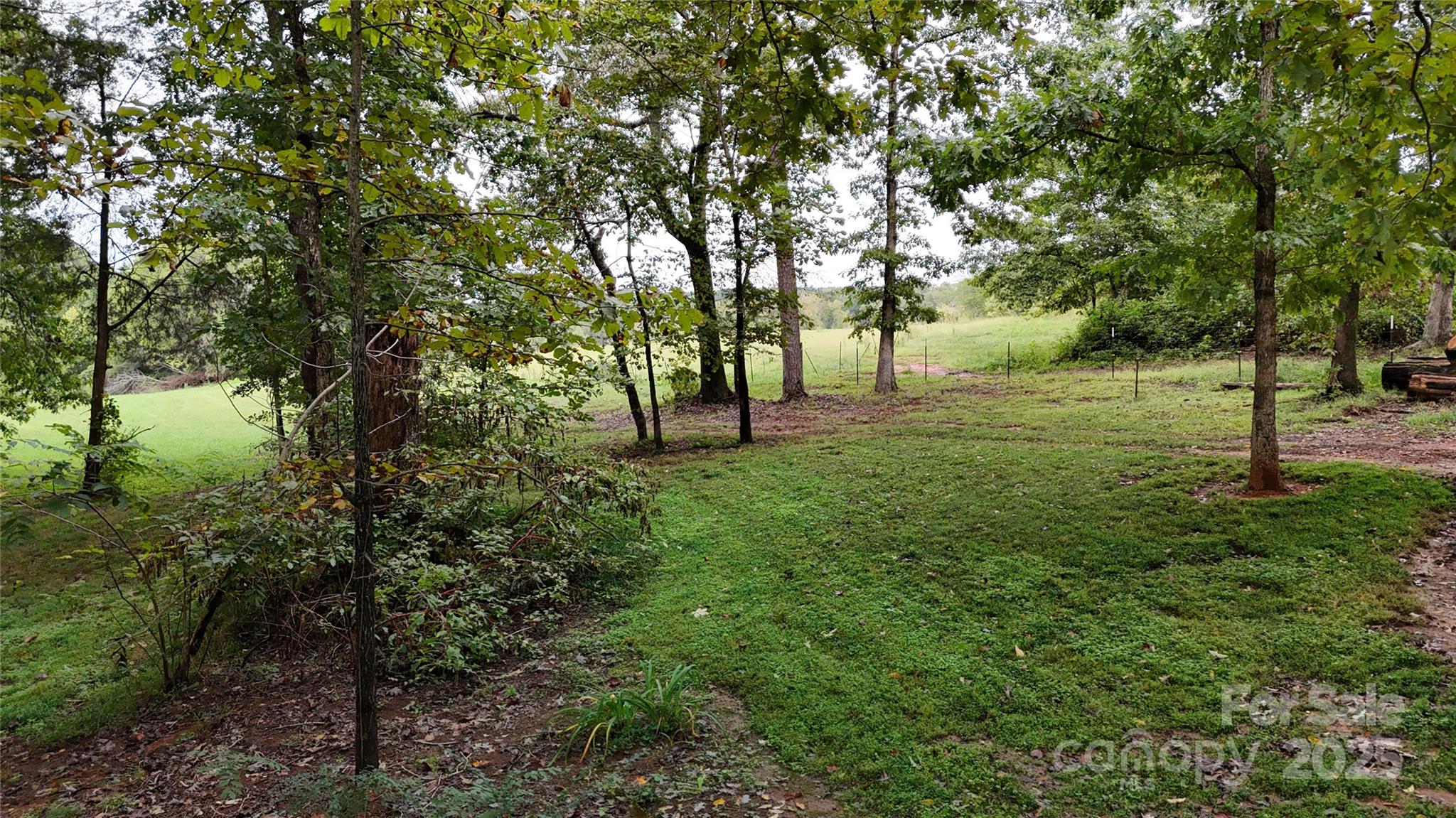 5298 Hoover Elmore Road Vale, NC 28168 - Photo 28 of 29 a view of yard with trees
