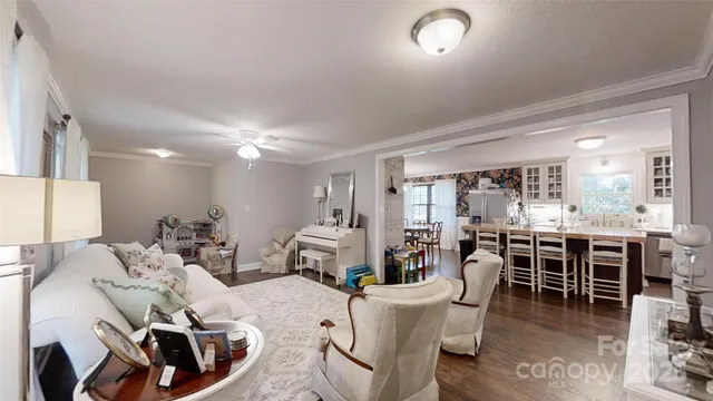 a view of a dry yard