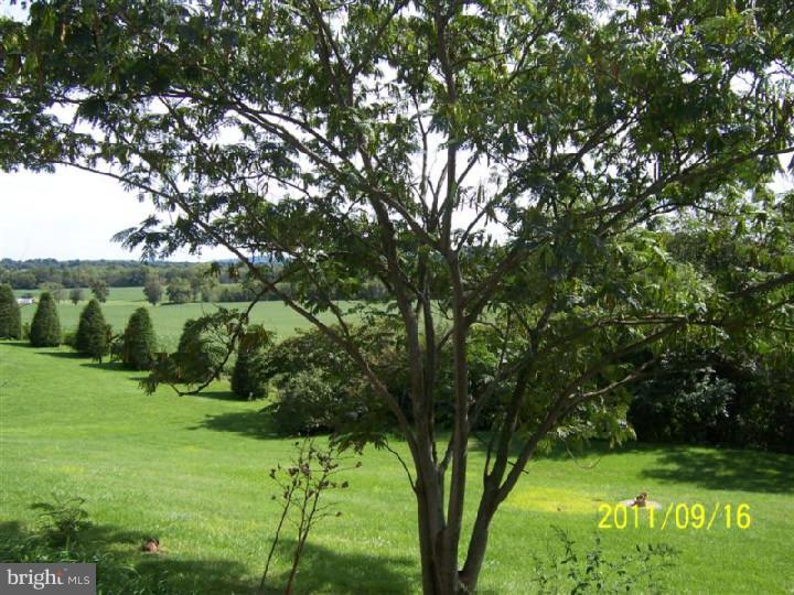 238 Faust Road Sinking Spring, PA 19608 - Photo 4 of 25