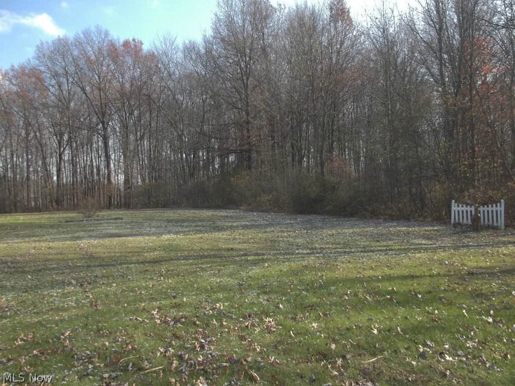 3447 South Raccoon Road Canfield, OH 44406 - Photo 5 of 13 Gallery Image 5