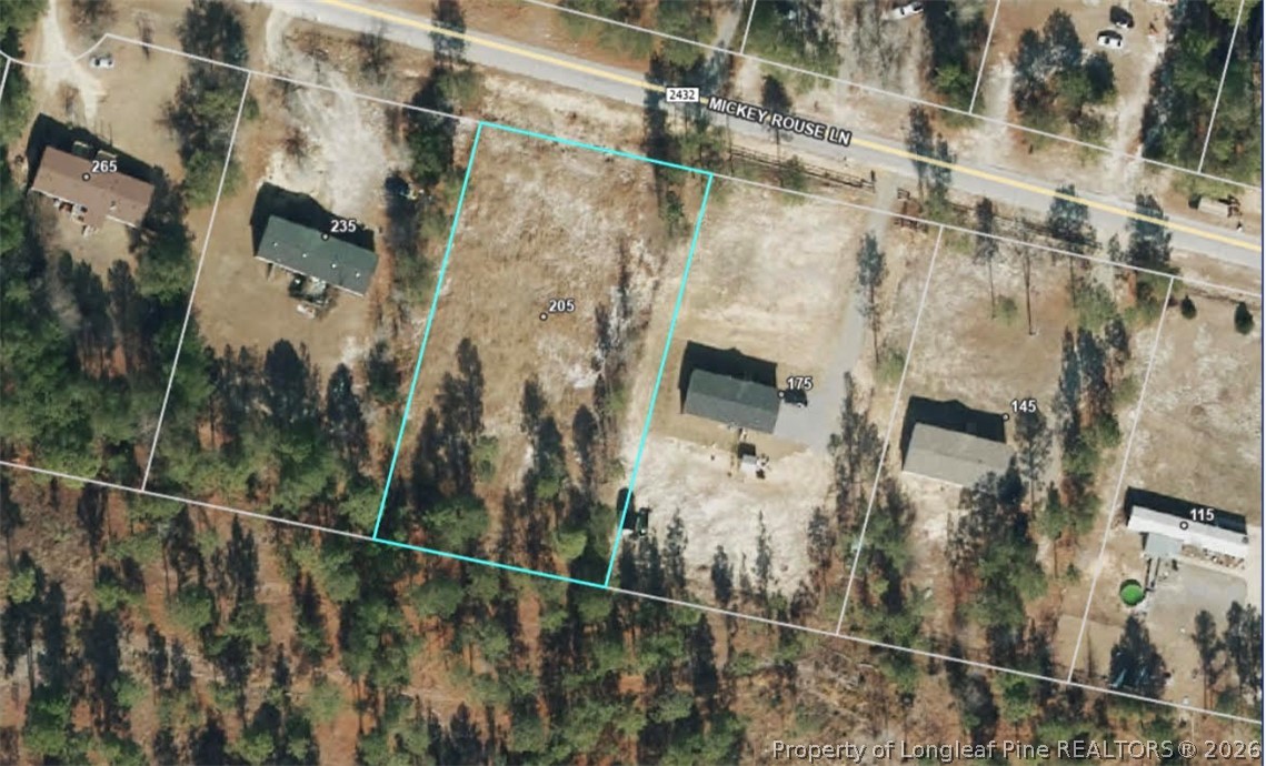 205 Mickey Rouse Lane Cameron, NC 28326 - Photo 1 of 1