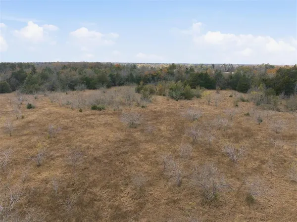 a view of a field with trees in background