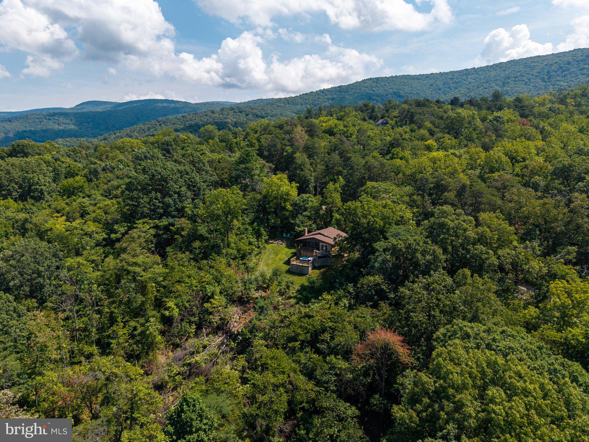 631 Overlook Drive Rileyville, VA 22650 - Photo 47 of 52 Gallery Image 47