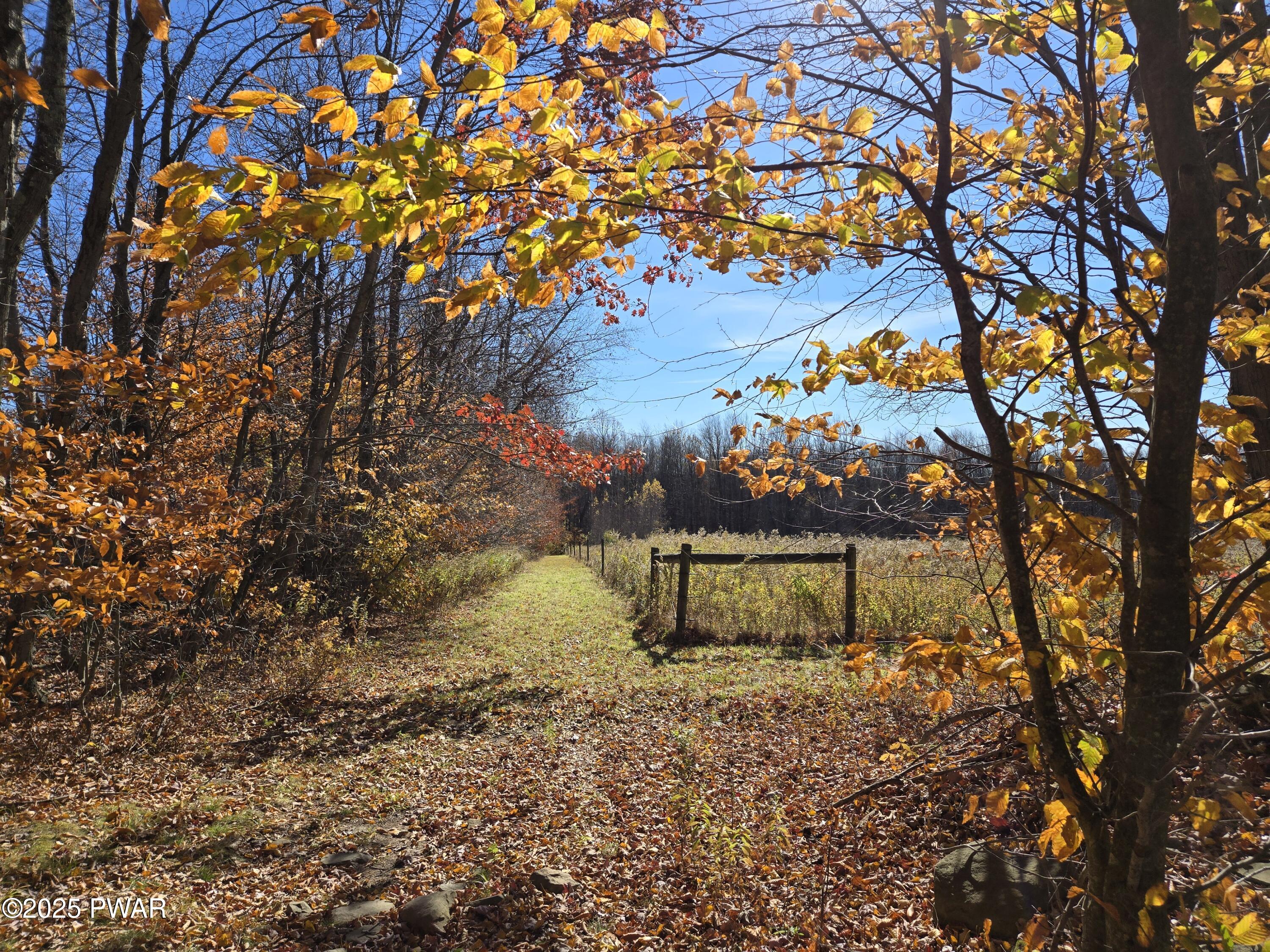 Mican Road Waymart, PA 18472 - Photo 4 of 31