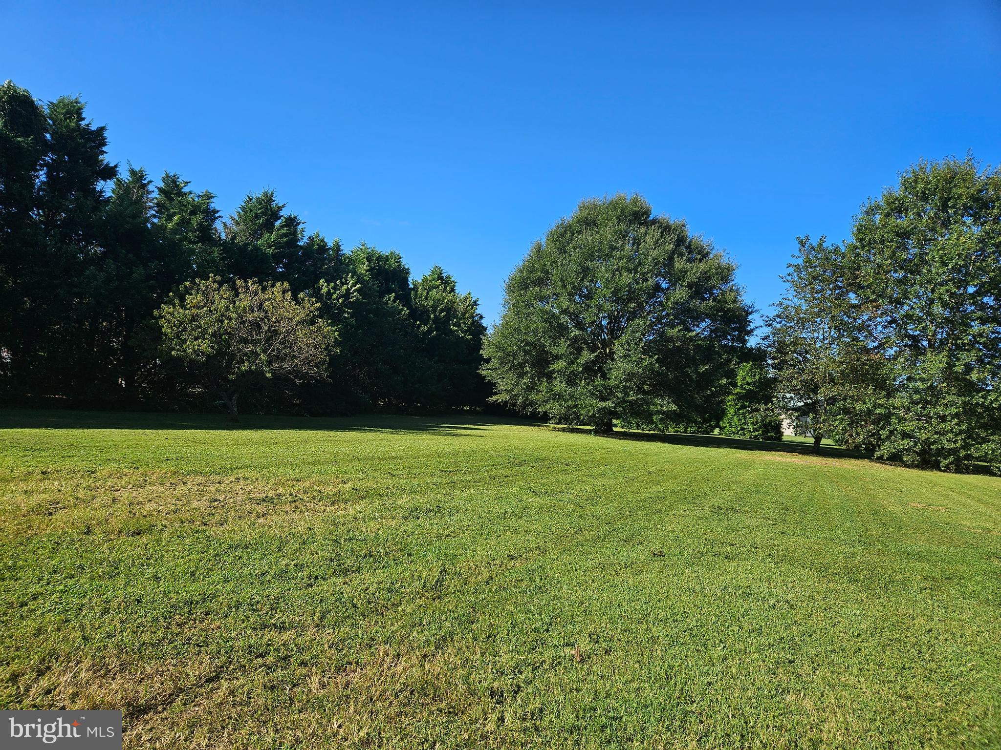 14186 Johnson Road Laurel, DE 19956 - Photo 5 of 14