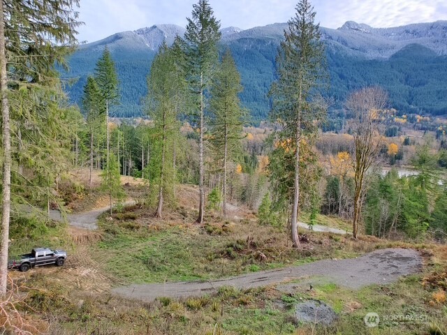 189 Carr Road Randle, WA 98377 - Photo 5 of 8 Gallery Image 5