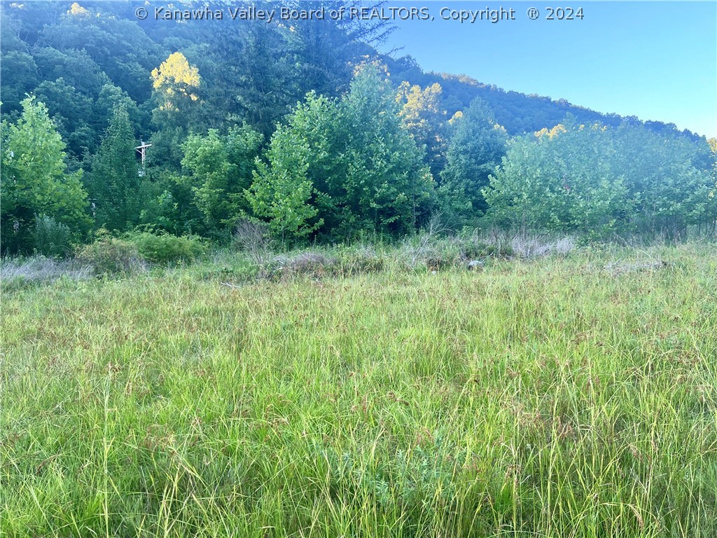 0 Double Camp Branch Road Matewan, WV 25678 - Photo 5 of 11 Gallery Image 5