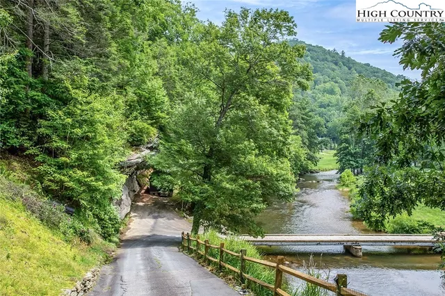 a view of a garden with a tree