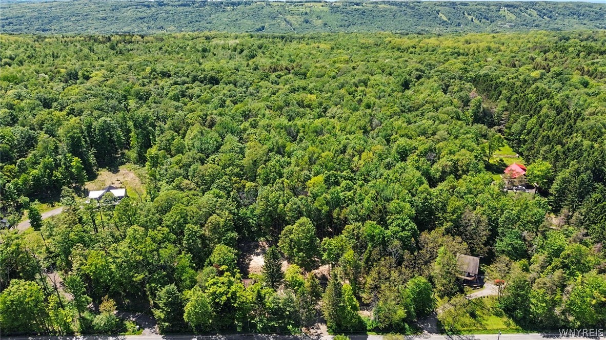 8176 Irish Road Colden, NY 14033 - Photo 41 of 41