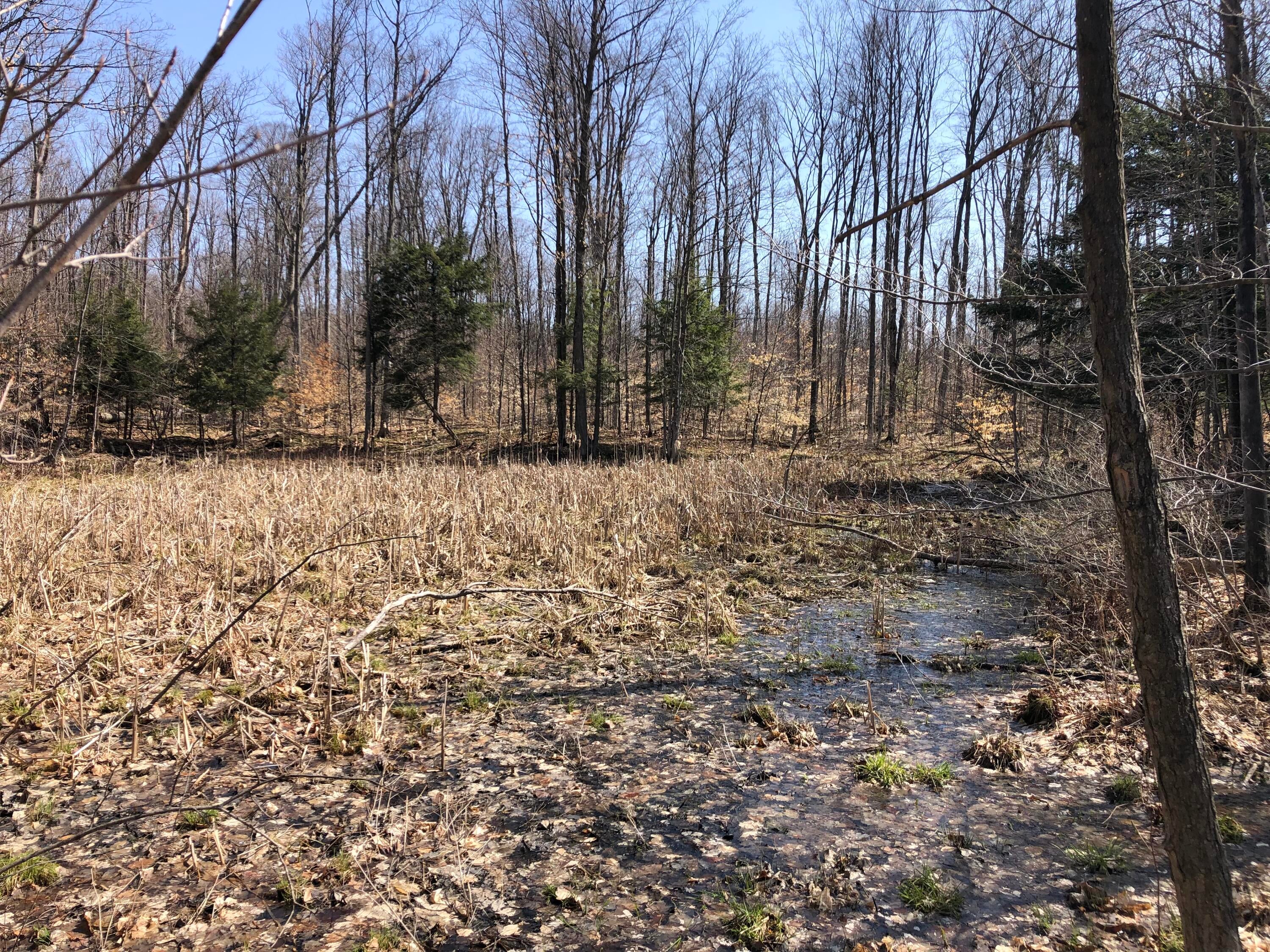 Congdon Road Gaylord, MI 49735 - Photo 9 of 14 Gallery Image 9