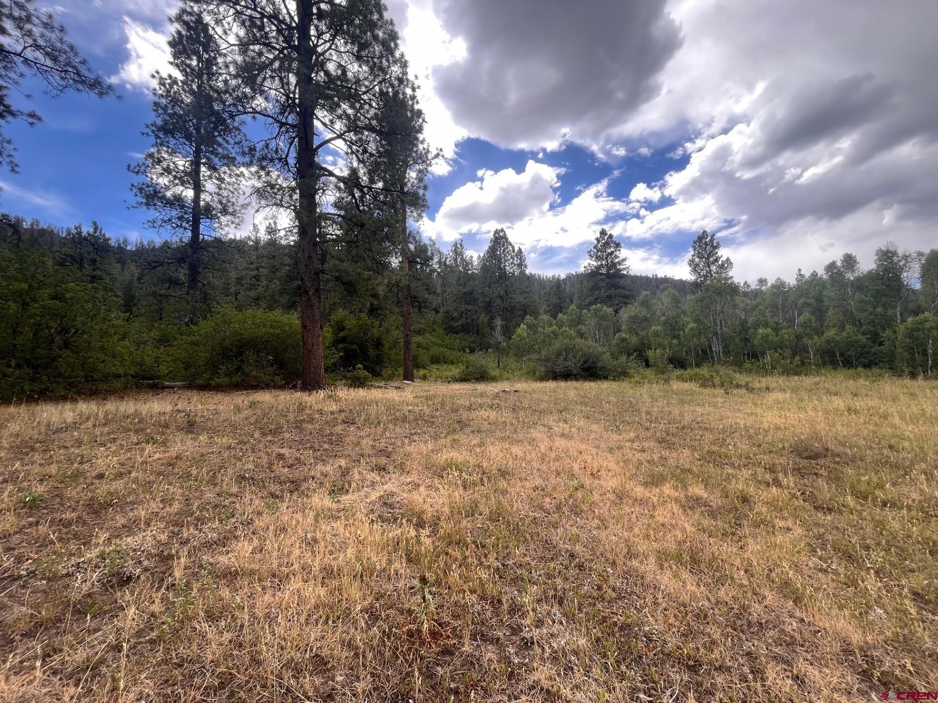 3230 Bear Creek Road Bayfield, CO 81122 - Photo 11 of 17 a view of outdoor space and yard