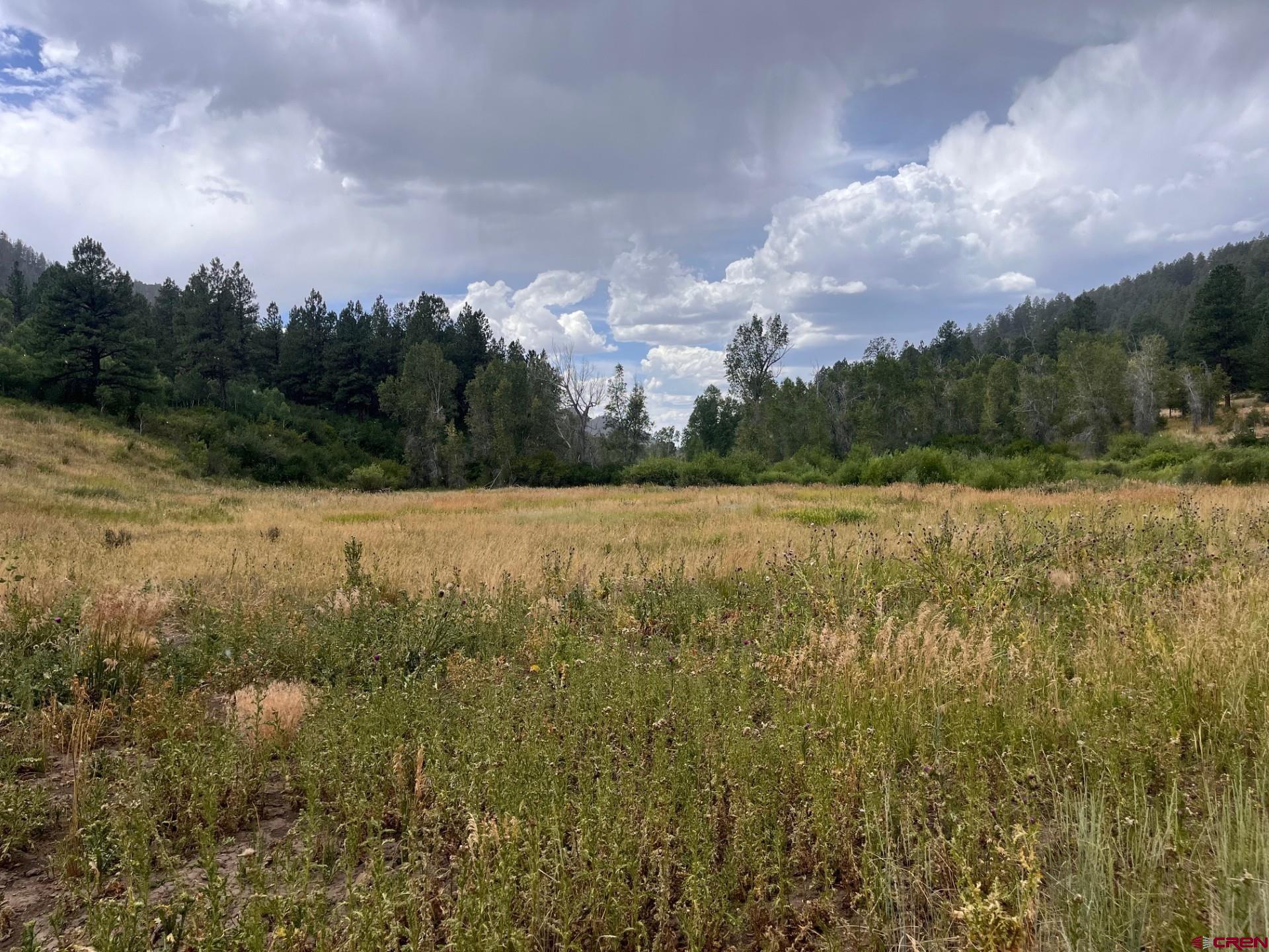 3230 Bear Creek Road Bayfield, CO 81122 - Photo 12 of 17 a view of a lake with houses in the back