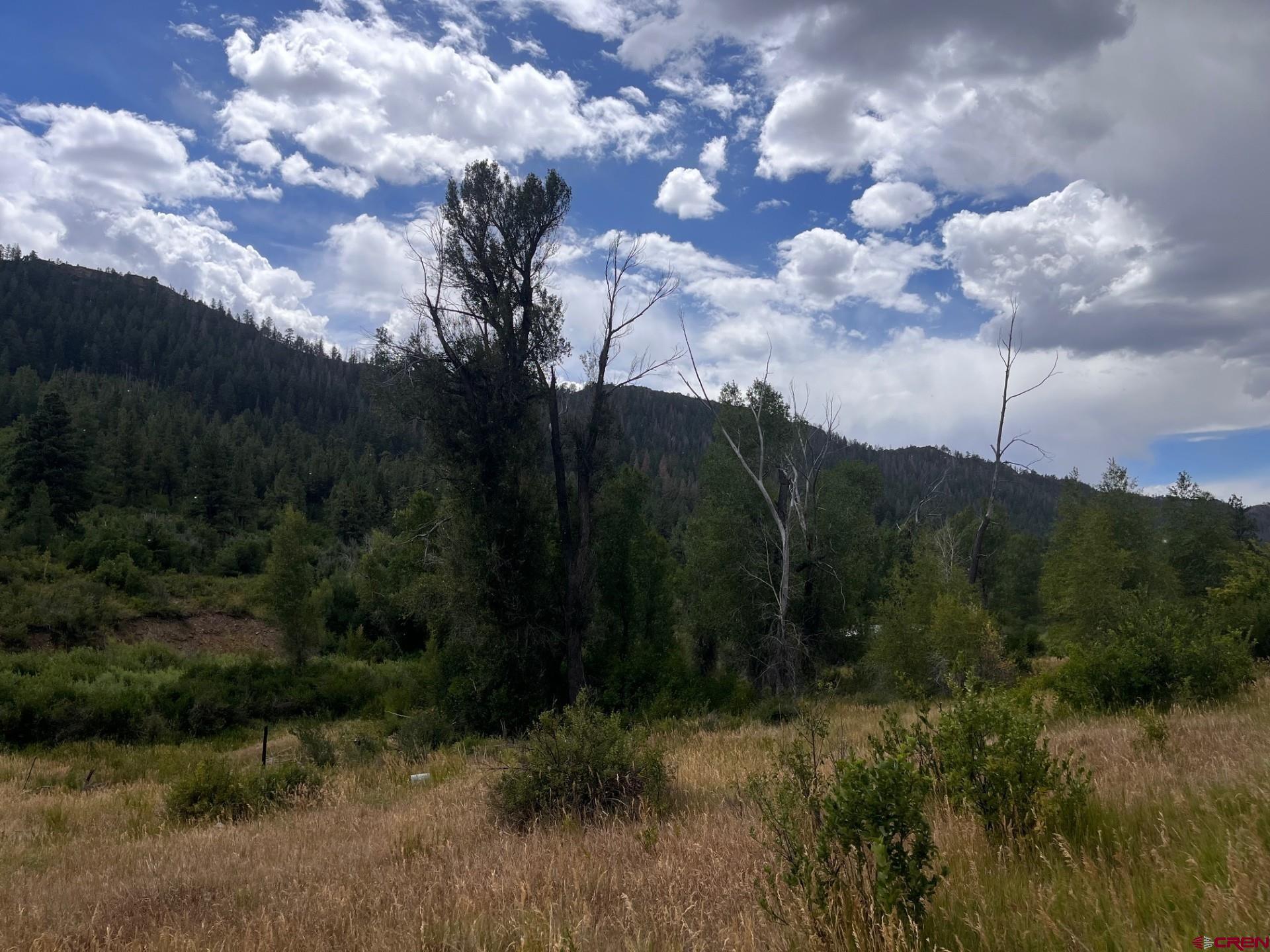3230 Bear Creek Road Bayfield, CO 81122 - Photo 13 of 17 a view of a lot of trees