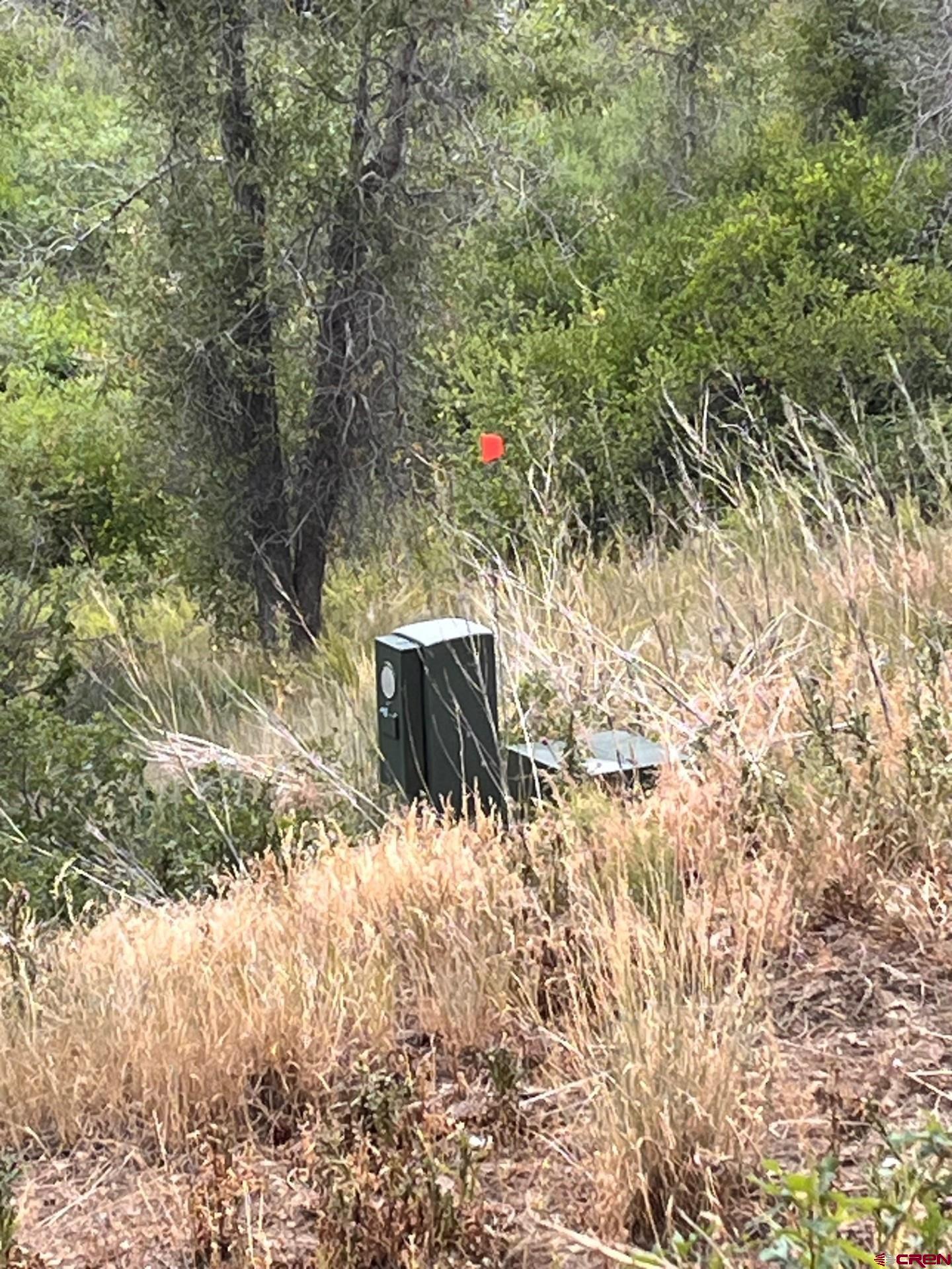 3230 Bear Creek Road Bayfield, CO 81122 - Photo 14 of 17 a view of outdoor space and trees