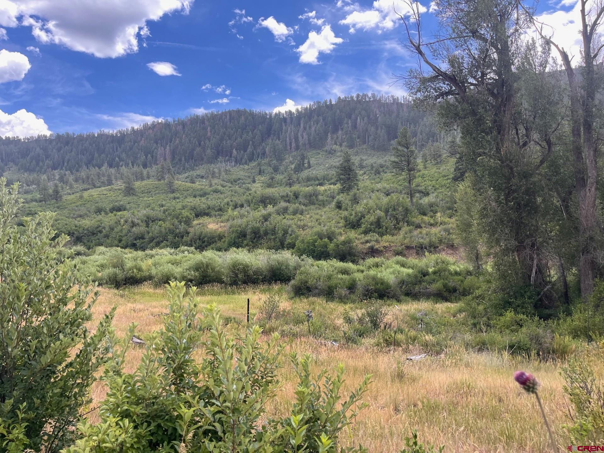 3230 Bear Creek Road Bayfield, CO 81122 - Photo 2 of 17 a view of a forest with a tree