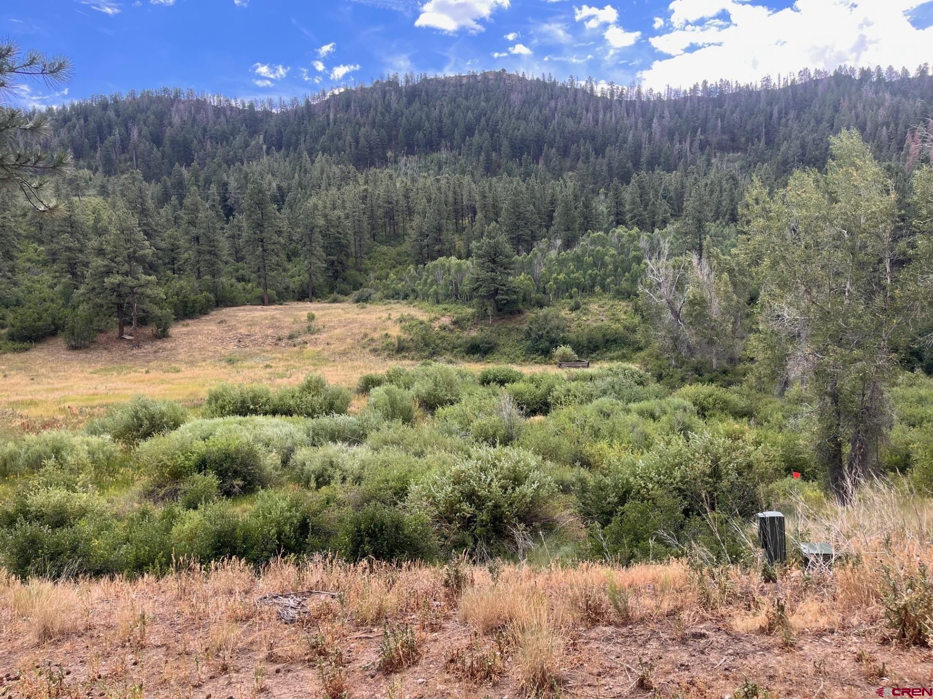 3230 Bear Creek Road Bayfield, CO 81122 - Photo 3 of 17 a view of a dry yard