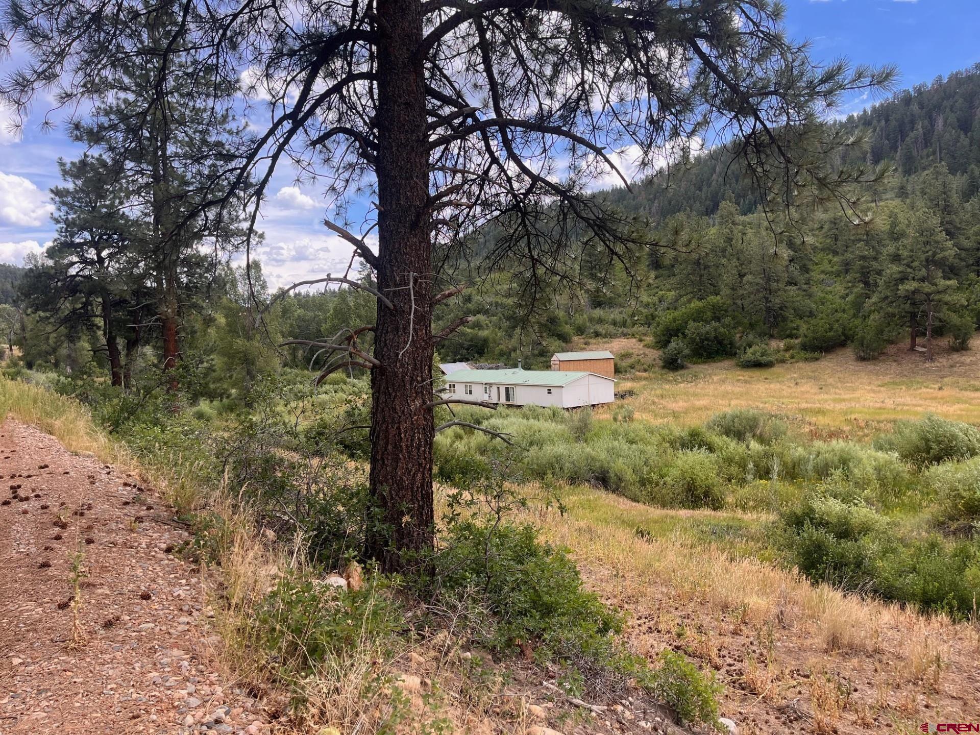 3230 Bear Creek Road Bayfield, CO 81122 - Photo 4 of 17 a view of a forest with trees