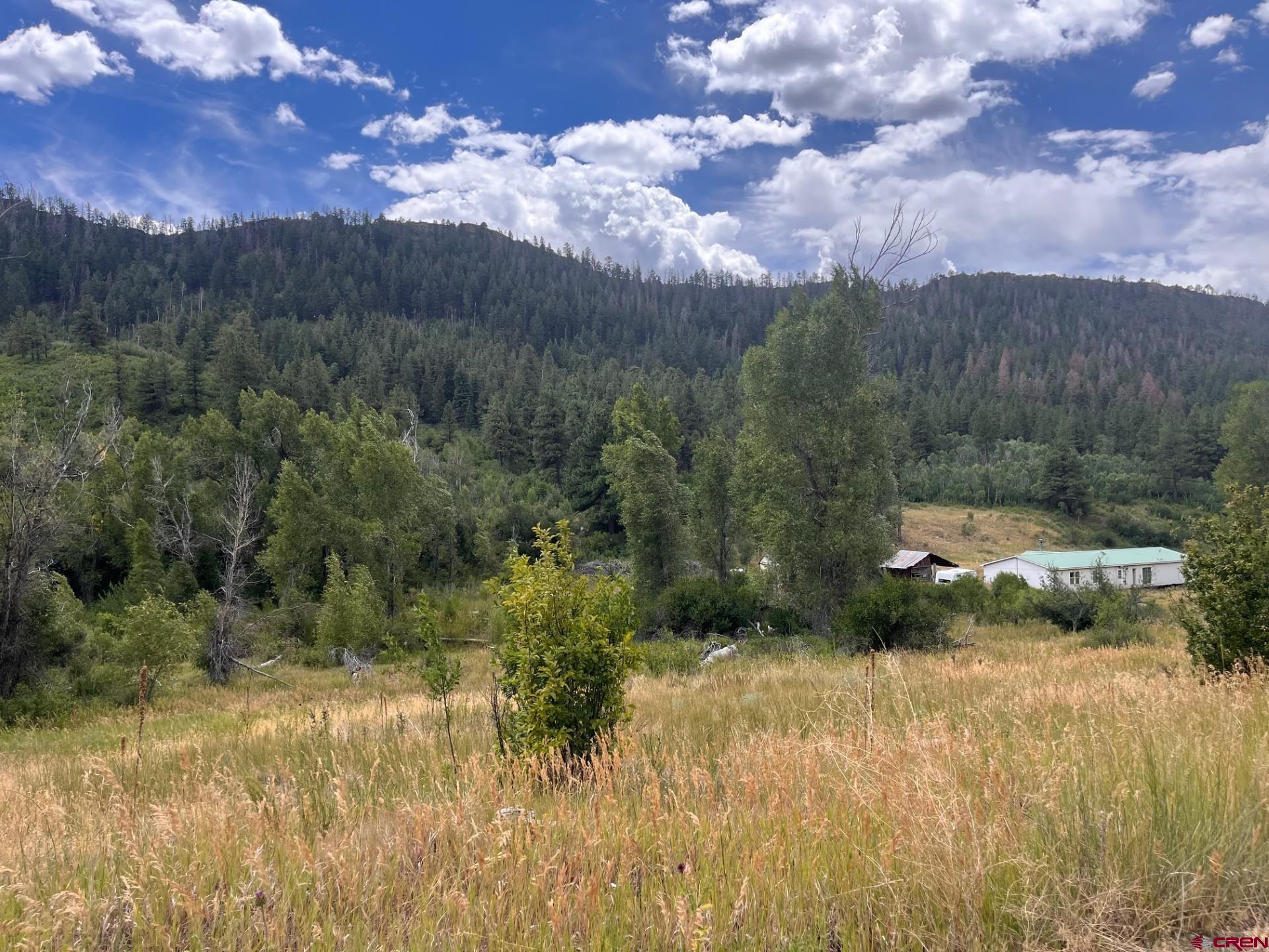 3230 Bear Creek Road Bayfield, CO 81122 - Photo 5 of 17 a view of a yard